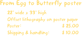 From Egg to Butterfly poster
22” wide x 33” high
Offset lithography on poster paper
Poster:                             $ 25.00
Shipping & handling:         $ 10.00